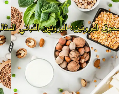 مسحوق البروتين: البروتين النباتي المثالي