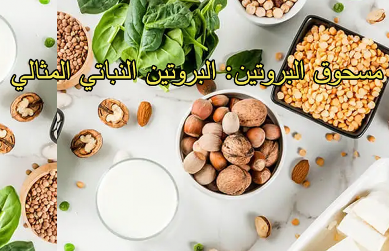 مسحوق البروتين: البروتين النباتي المثالي